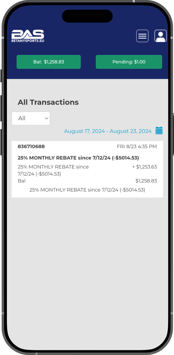BetAnySports reward promotions mobile rebate transaction example
